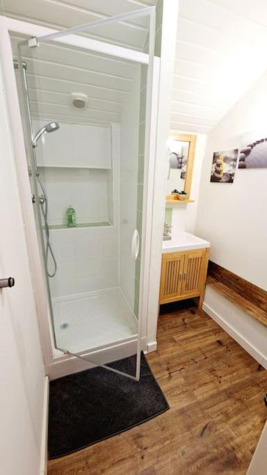 Maison, 4 A 6 Pers, Clim, Parking Prive, 2 Chambres 阿让 外观 照片